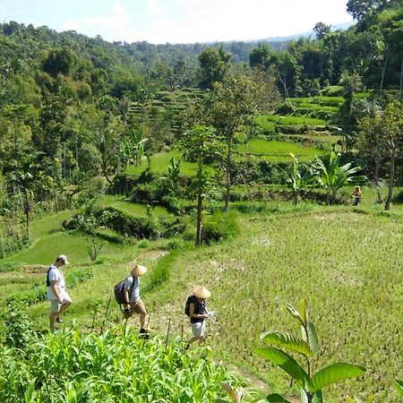 Vanilla Cottage Tetebatu Luaran gambar