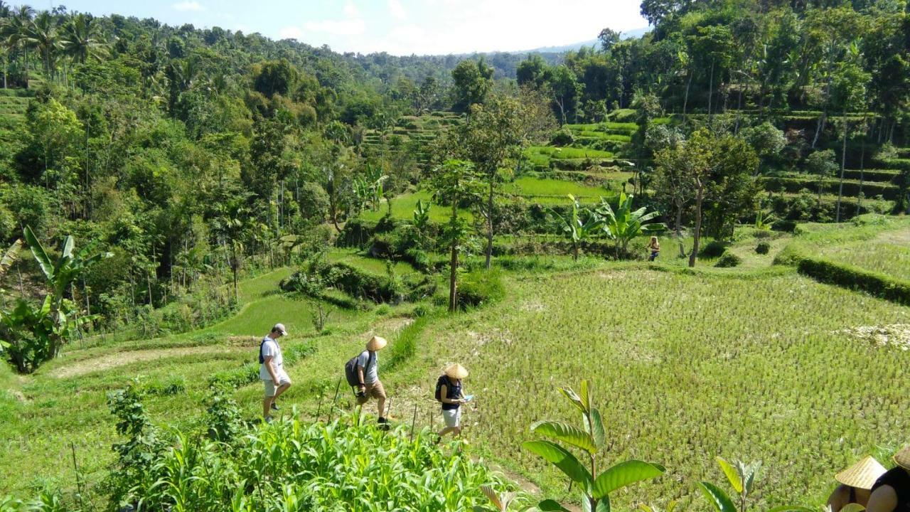 Vanilla Cottage Tetebatu Luaran gambar