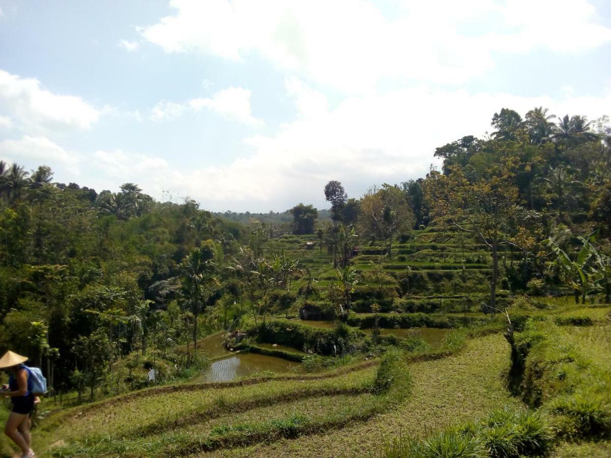 Vanilla Cottage Tetebatu Luaran gambar